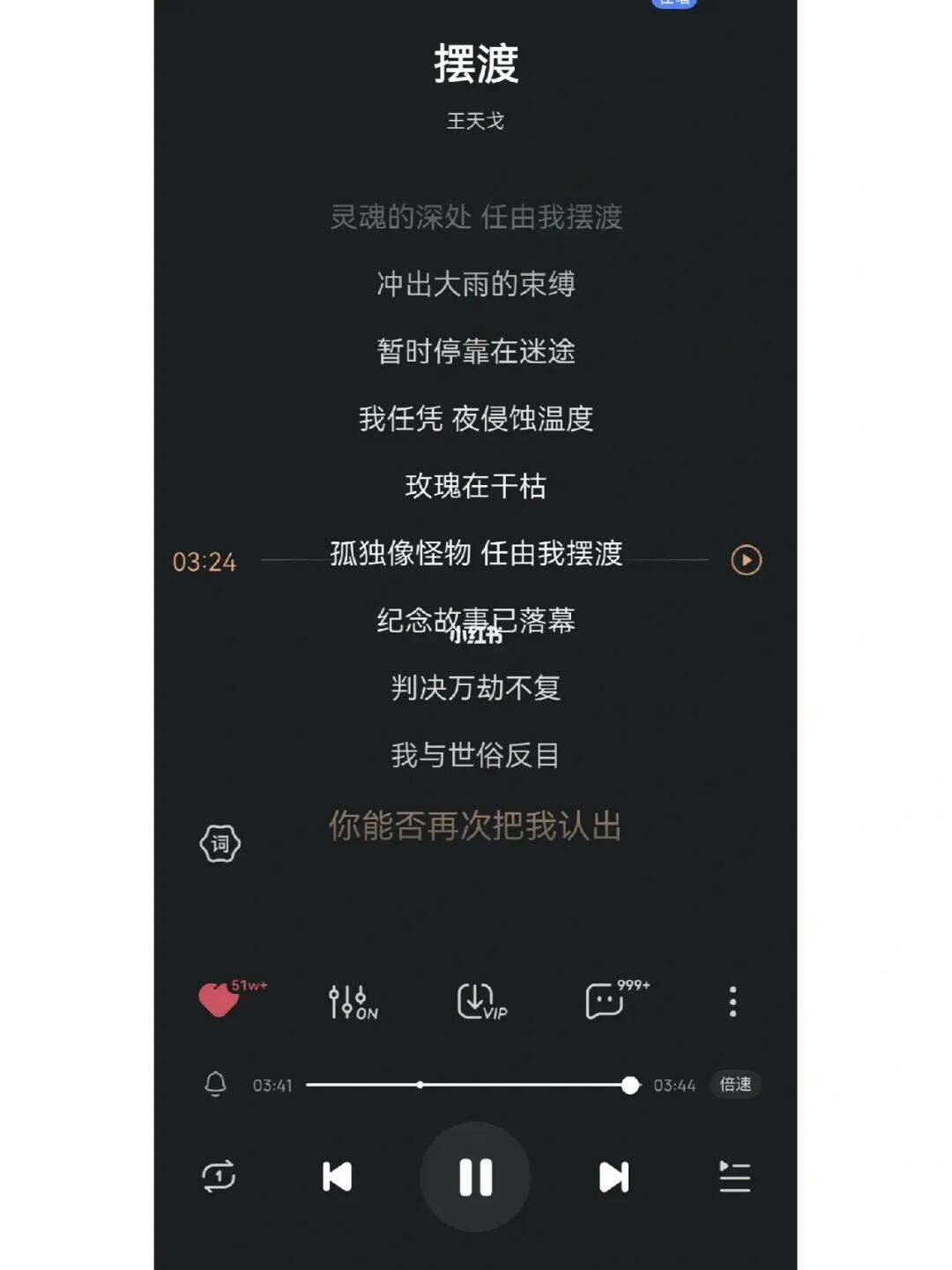 王天戈(王天戈个人资料)